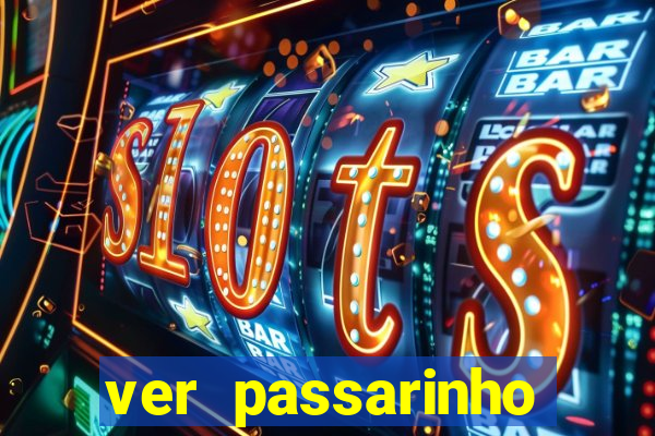 ver passarinho morto significado